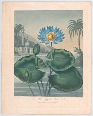  The Wagtail and the Water Lily: An Egyptian Folktale Exploring Themes of Perseverance and Unconventional Wisdom